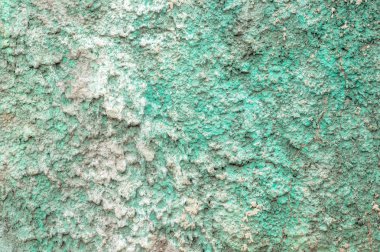 Yeşil ve beyaz duvar arka plan doku tasarımı için