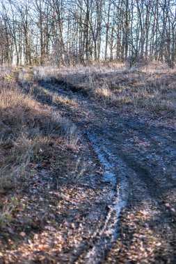 Çamur ve su Sonbahar zaman kirli kırsal yol