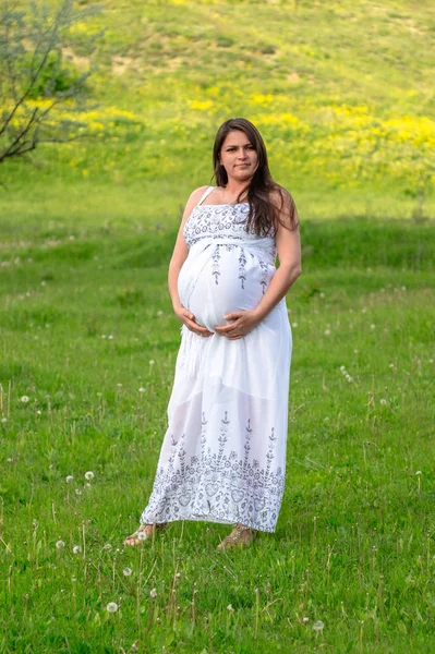 Mujer Embarazada Vestido Blanco Descansando Prado Verano —  Fotos de Stock