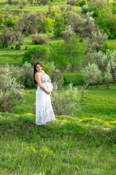 Donna Incinta Abito Bianco Che Riposa Prato Estate — Foto Stock