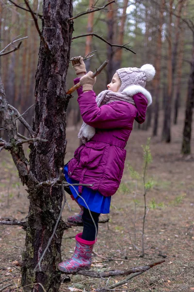 Schattig Klein Meisje Dennenbos Herfst Tijd — Stockfoto