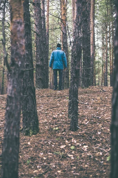 Samotny Facet Lesie Sosnowym Czasie Jesieni — Zdjęcie stockowe