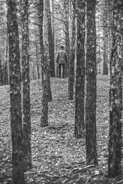 Osamělý Chlapík Borovém Lese Podzimním Čase Černobílé Foto — Stock fotografie