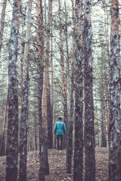 Cara Solitário Uma Floresta Pinheiros Época Outono — Fotografia de Stock