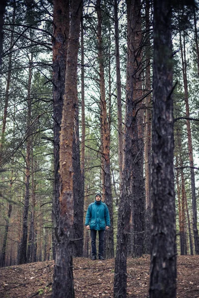 Cara Solitário Uma Floresta Pinheiros Época Outono — Fotografia de Stock