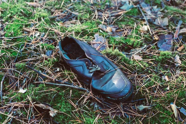 Velho Sapato Único Perdido Floresta Pinheiros — Fotografia de Stock