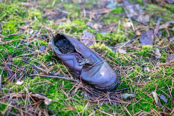 Viejo Zapato Perdido Bosque Pinos — Foto de Stock