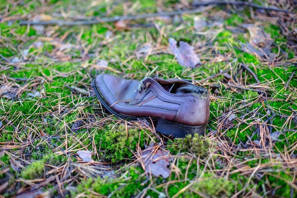 Pantofi Vechi Pierduți Pădurea Pin — Fotografie, imagine de stoc