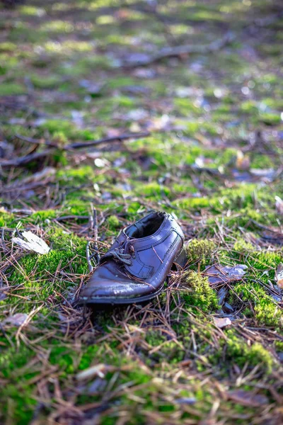 Παλιά Έχασε Μόνο Παπούτσι Στο Πευκοδάσος — Φωτογραφία Αρχείου