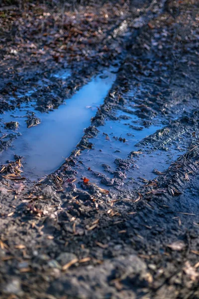 Vuile Landelijke Weg Met Modder Water Herfst Tijd — Stockfoto