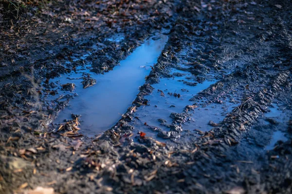 秋の時間の泥や水で汚れた田舎道 — ストック写真