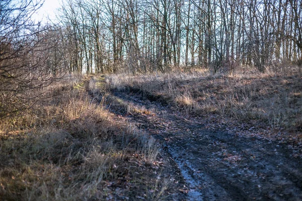 Vuile Landelijke Weg Met Modder Water Herfst Tijd — Stockfoto