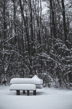 Ahşap masa ve tezgah Kışın kar parkta kaplı