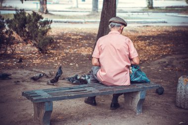 Yaşlı bir adam parkta bir bankta oturur ve güvercinler beslemeleri