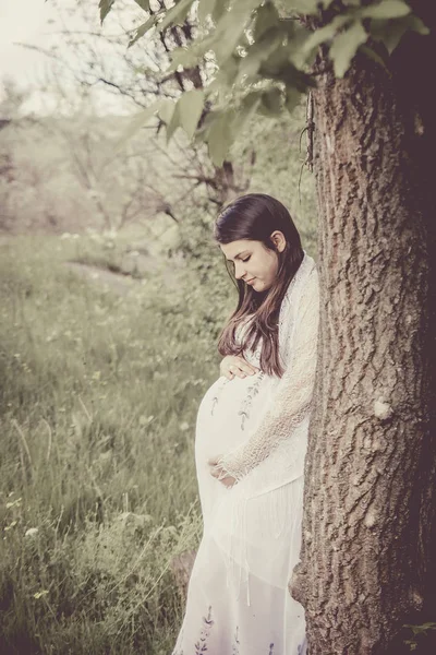 Zwangere Vrouw Witte Jurk Buurt Van Boom Het Bos — Stockfoto