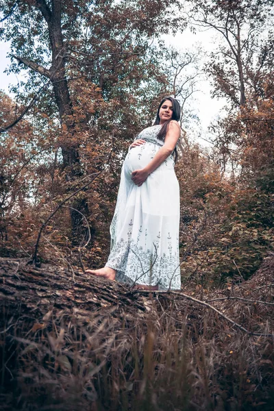 Zwangere Vrouw Witte Jurk Het Forest Kofferbak Van Omgevallen Boom — Stockfoto
