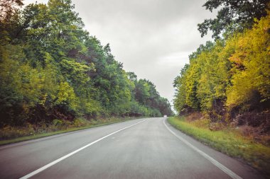 Ormandaki karanlık asfalt yol. Arabadan görüntülemek
