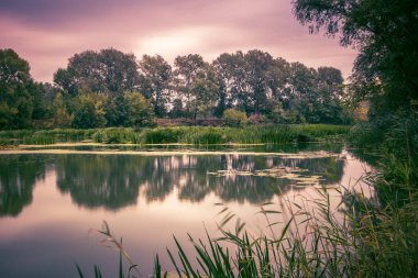 Zemin üzerine yeşil ağaçlar ile yaz sabahları sakin nehir. Tonda, tarzı fotoğraf