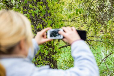 Güzel bir manzara fotoğrafını bir telefonu kullanarak sarışın bir kadın lazım.