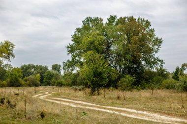 Yaz aylarında eski kırsal yolu