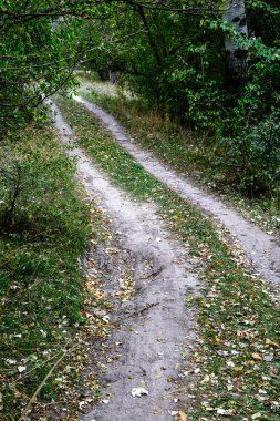 Yaz aylarında eski kırsal yolu