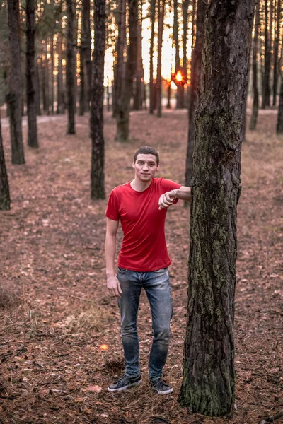 Ένας Νεαρός Άντρας Ένα Κόκκινο Μπλουζάκι Ένα Πευκόφυτο Δάσος — Φωτογραφία Αρχείου