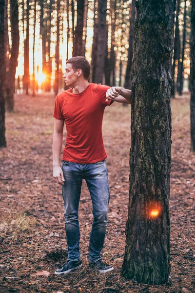 Młody Facet Kolorze Czerwonym Shirt Sosnowym Lesie — Zdjęcie stockowe