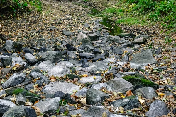 Ruisseau Dans Forêt Entre Les Pierres — Photo