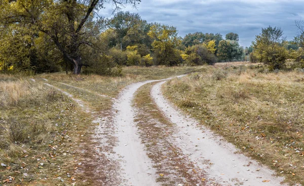 Kruispunt Twee Verschillende Richtingen Het Veld Zomer Concept Van Kies — Stockfoto