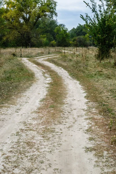 Oude Landelijke Weg Zomer — Stockfoto