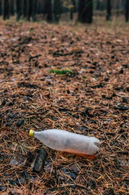 Çam ormanı yere plastik beyaz şişe.