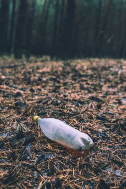 Çam ormanı yere plastik beyaz şişe.