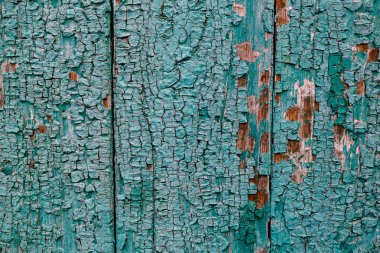 Klasik yeşil grunge duvar arka plan tasarımı için peeling