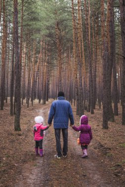 Baba ve iki çocuk bir çam ormanının içinde yol boyunca yürüyüş.