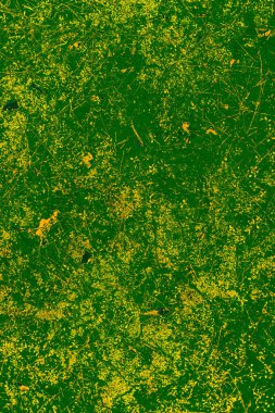 Renkli arka plan. Resimde bir çam ormanı moss doku görüntüde yaratıcı vizyonu ile