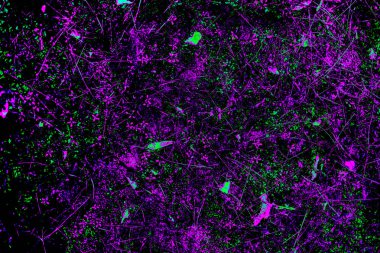 Renkli arka plan. Resimde bir çam ormanı moss doku görüntüde yaratıcı vizyonu ile