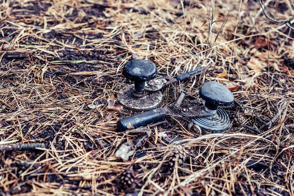 Müll Auf Dem Boden Kiefernwald — Stockfoto