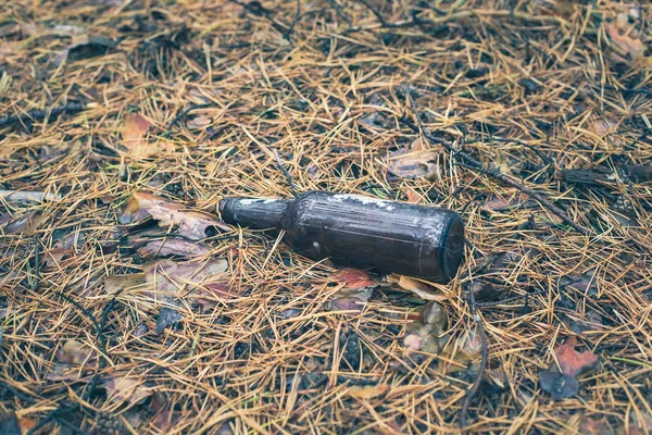 Bruin Bierfles Grond Het Dennenbos — Stockfoto