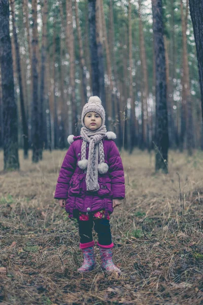 Маленька Дівчинка Сосновому Лісі Восени — стокове фото