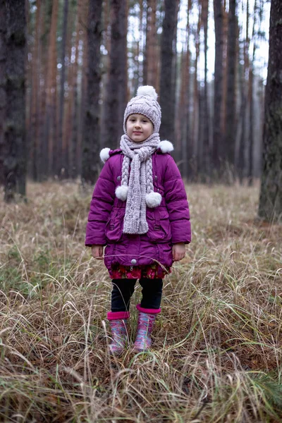 Schattig Klein Meisje Poseren Herfst Bos Het Droog Gras — Stockfoto