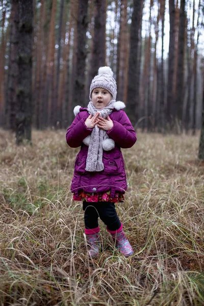 Schattig Klein Meisje Poseren Herfst Bos Het Droog Gras — Stockfoto