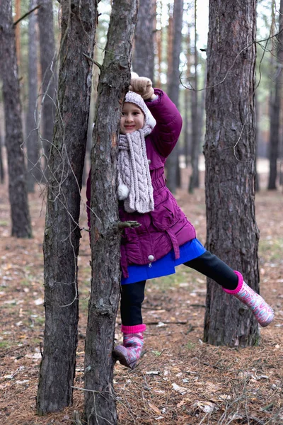 Schattig Klein Meisje Dennenbos Herfst Tijd — Stockfoto