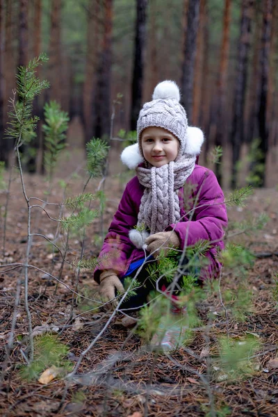 Een Schattig Klein Meisje Een Dennenbos Herfst Tijd — Stockfoto