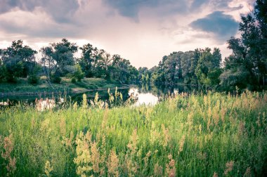 Bir nehir, ağaçlar, otlar ve bulutlar gökyüzü üzerinde yaz manzara.