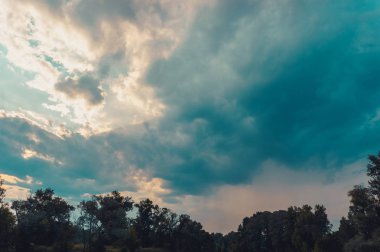 Yeşil ağaçların üst hattı üzerinden arka planda yaz günbatımı üzerinde gökyüzü ve bulutlar.
