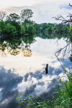 Bir nehir, ağaçlar, otlar ve bulutlar gökyüzü üzerinde yaz manzara.