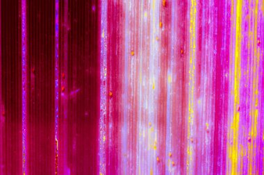 Renkli çizgili arka plan. Gökkuşağı stili.