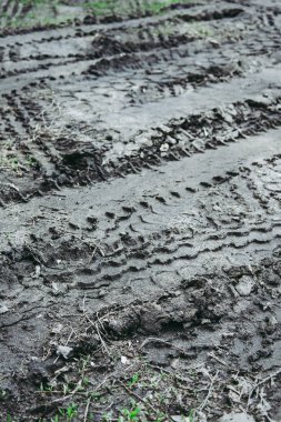 Lastik izleri bir çamurlu yolda.