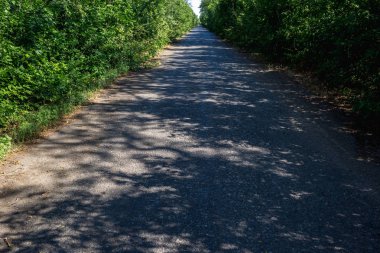 Yaz aylarında eski büyümüş harap asfalt yol.