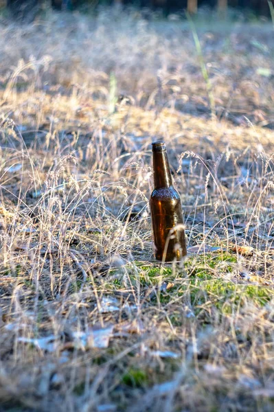 Botella Cerveza Marrón Sucia Suelo Hierba Contaminación Ambiental Destrucción Naturaleza — Foto de Stock